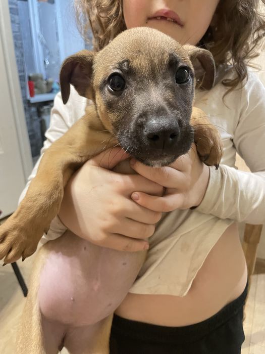 Айфон 12 мммммммммм