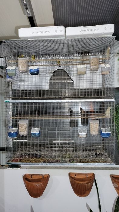 Gaiola grande dupla : Um metro  x  50 cm  x  50cm