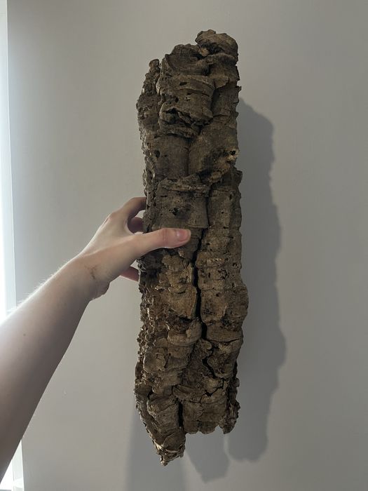 Korek,  tuba  korkowa  do terrarium,  kryjówka