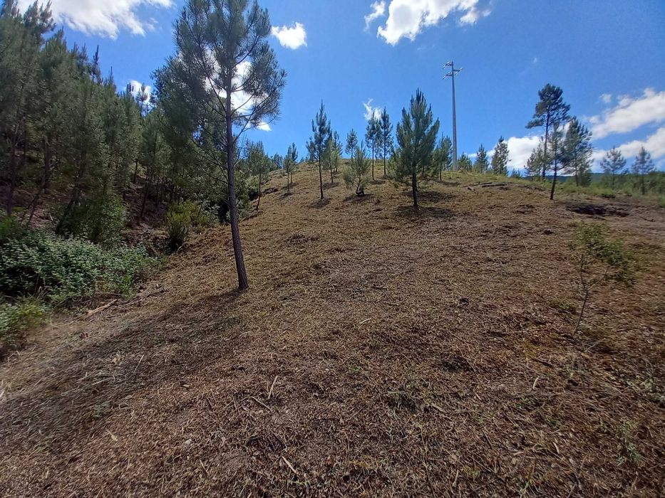 Limpeza  de terrenos