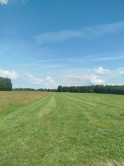 Sprzedam działkę na mazurach obręb Rostki gm.Pisz