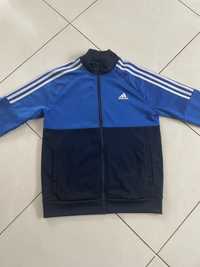 Bluza adidas …