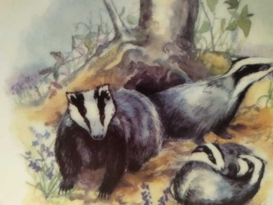 Prato porcelana Reader's Digest