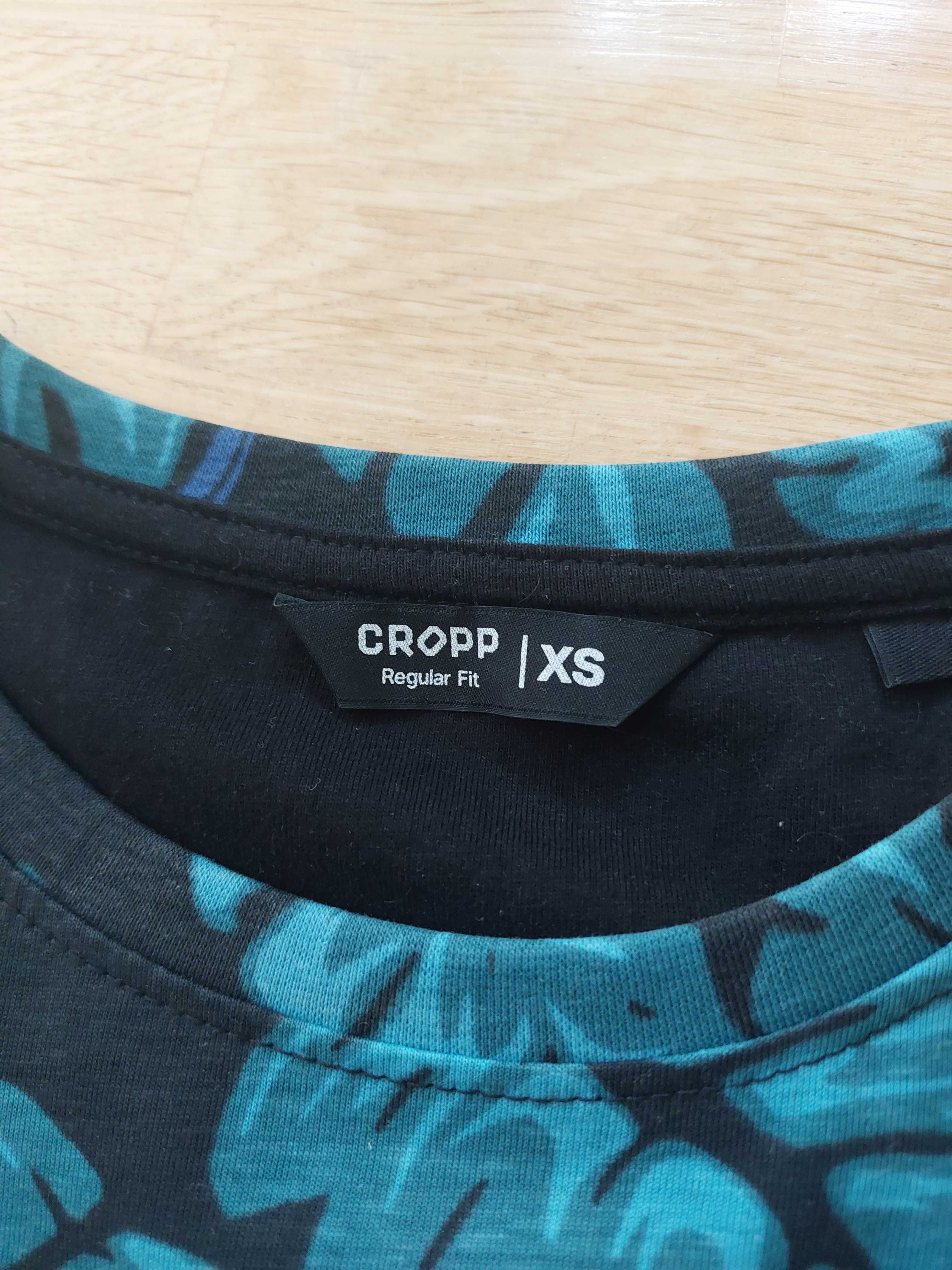T-shirt chłopięcy Cropp