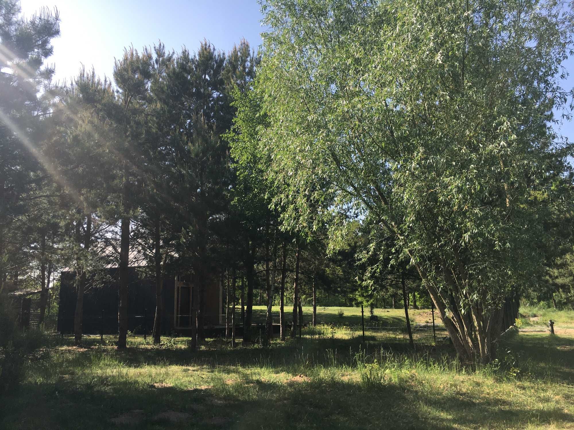 Domek nad jeziorem – Pojezierze Brodnickie, jezioro Chojno
