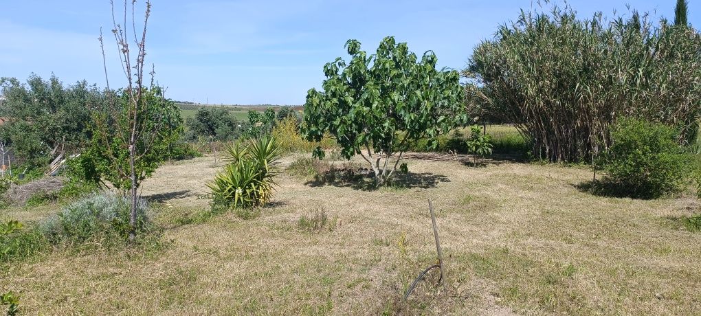 Terreno excelente para um Retiro