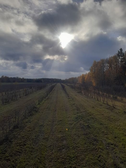 Działka rolna 2.49