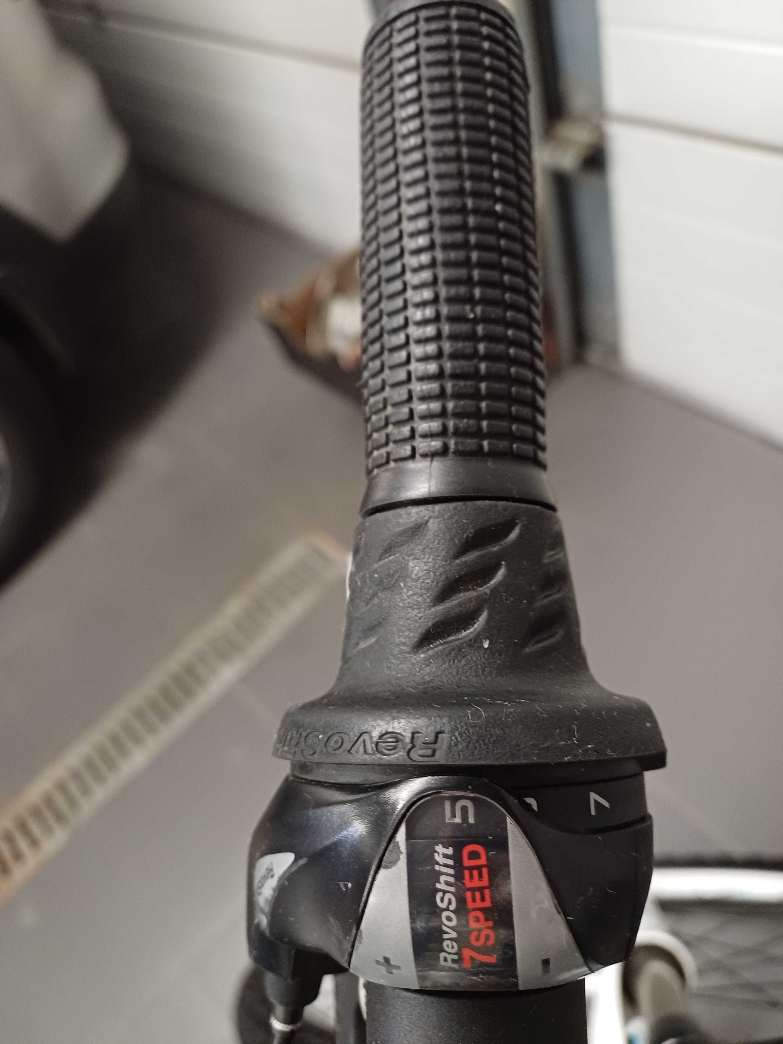 Rower Kross LEA F1