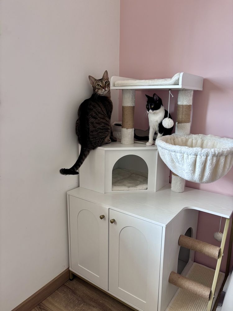 Móvel Areia Gatos
