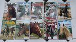 Lote 30 Revistas El Mundo de Caballo