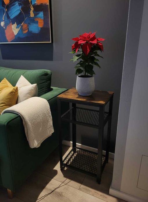 Szafka Nocna Stolik Kawowy Regał Vintage Loft Rustykalny Brąz