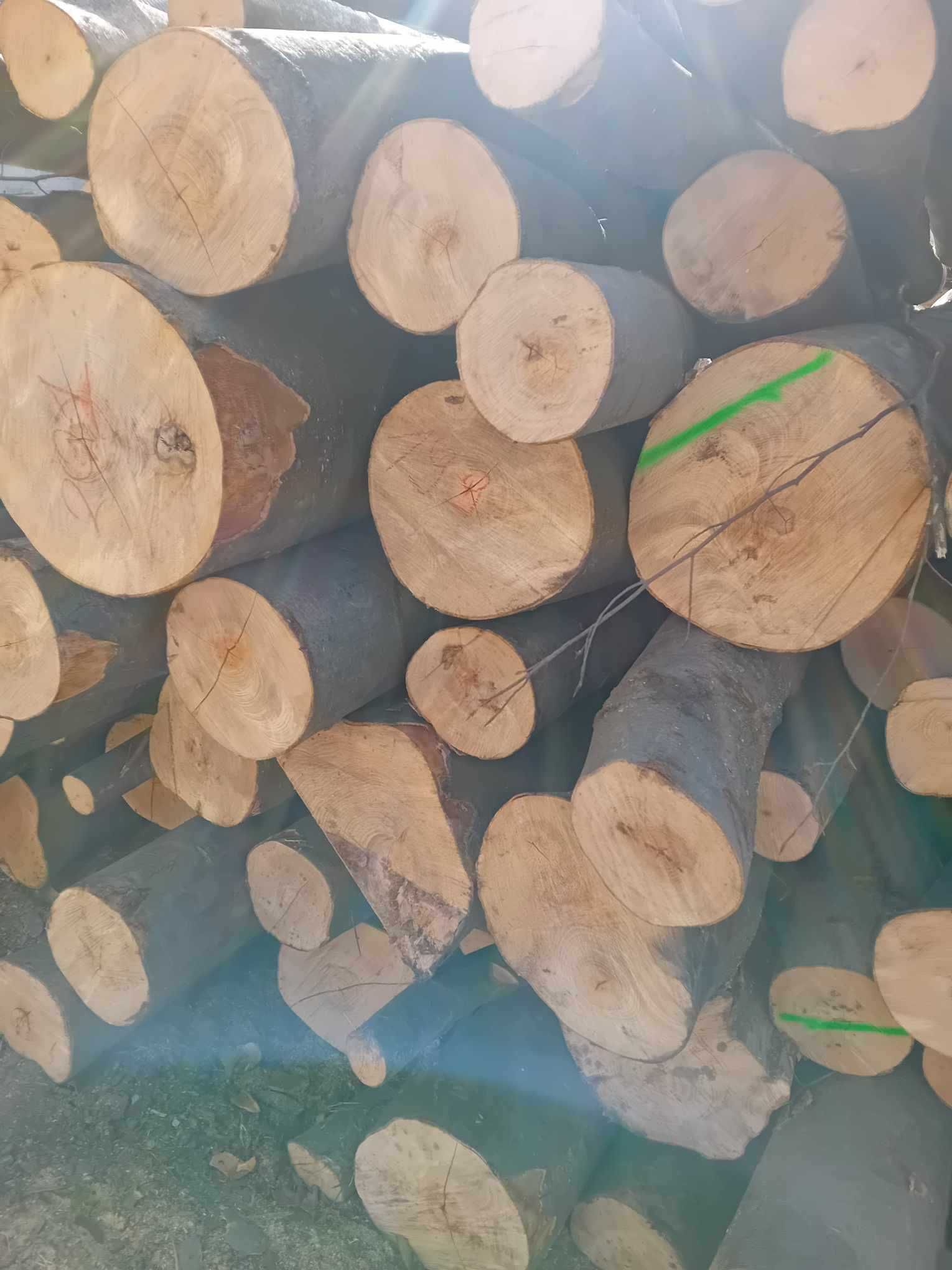 Drewno opałowe bukowe