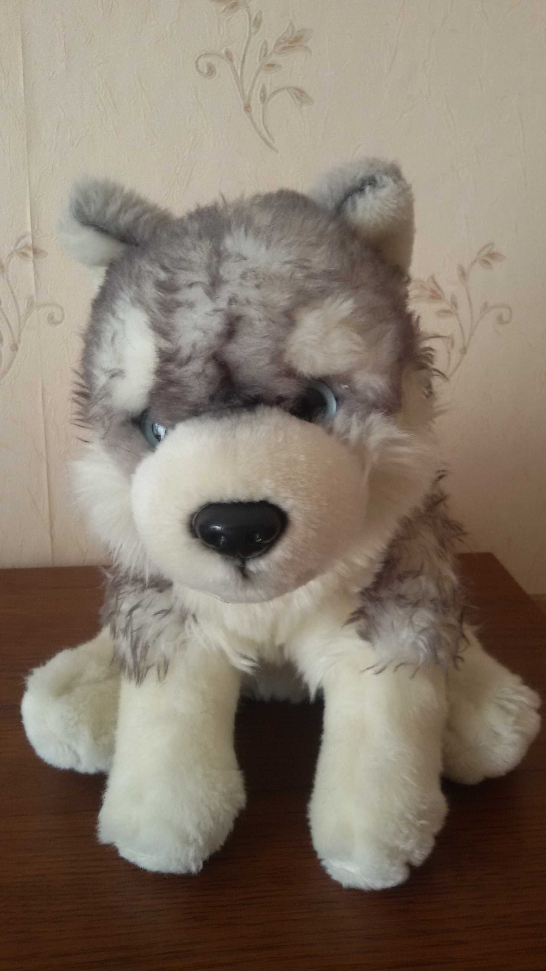 Maskotka Pies Husky 25 cm, firma Uni-Toys, nowa