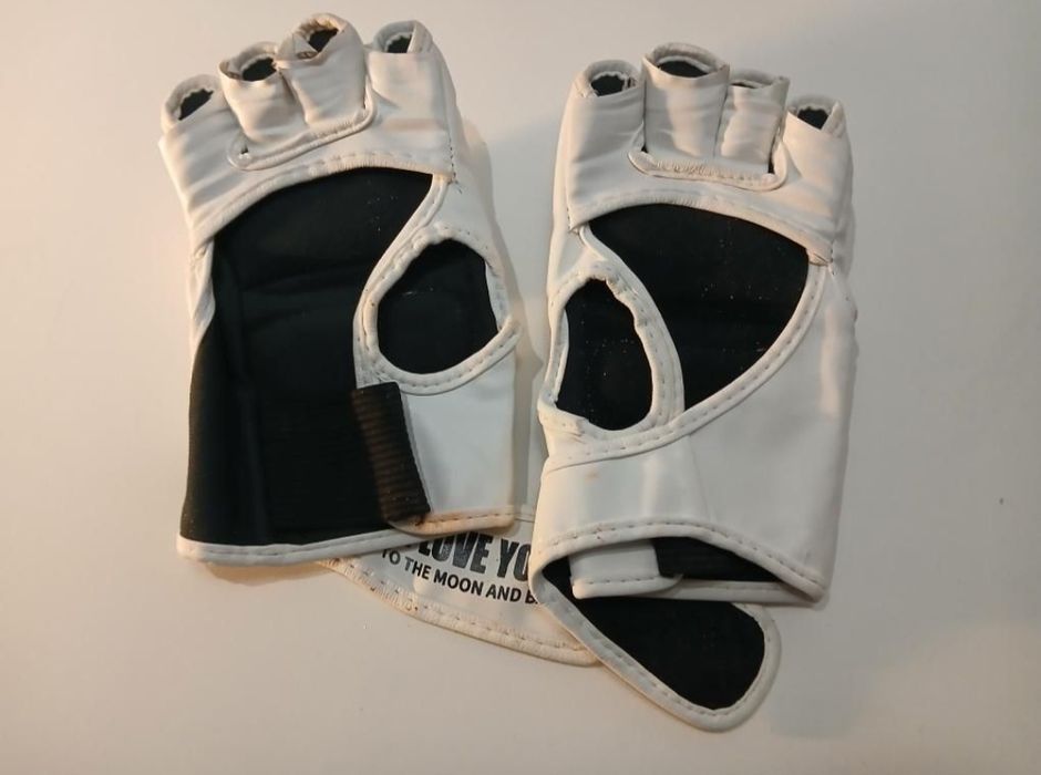 Saco de Boxe + Luvas