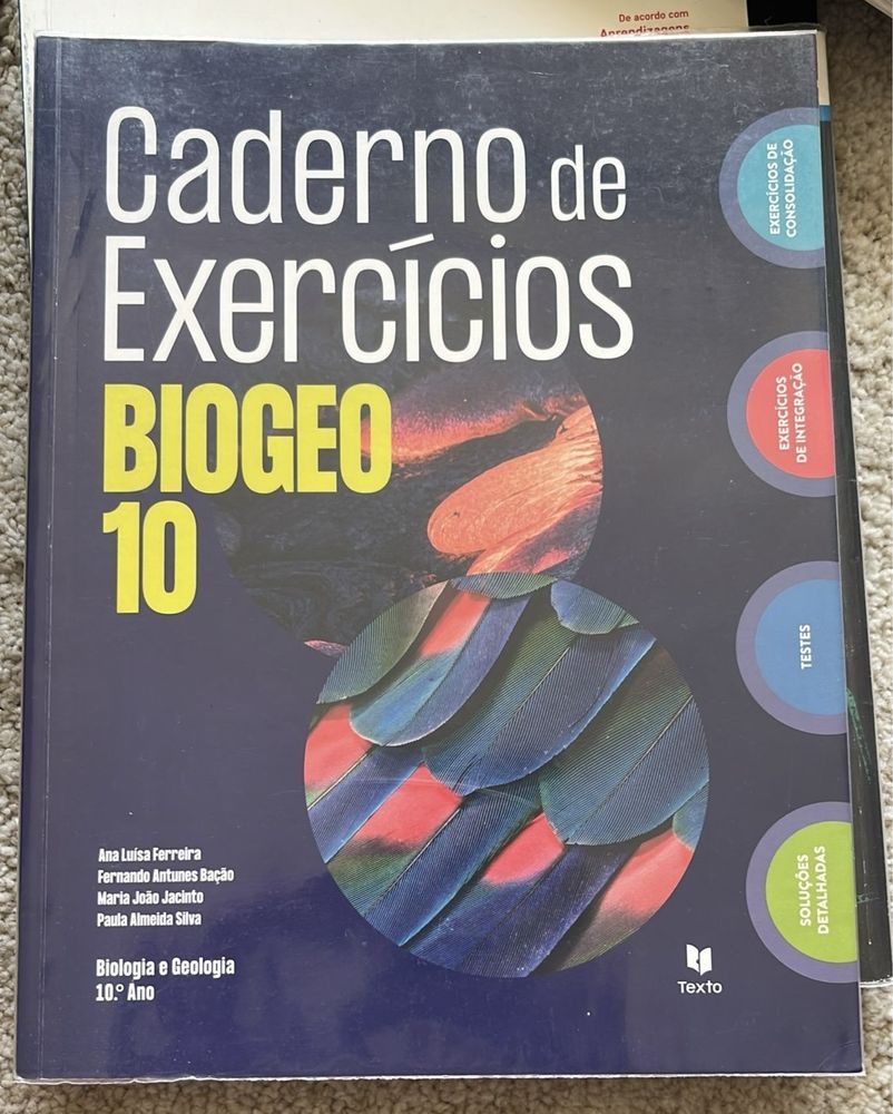 Caderno de atividades 10 ano plastificados