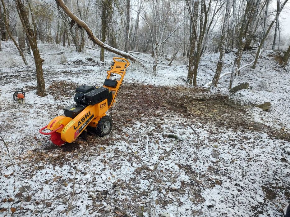 Wycinki drzew ciecia drzew karczowanie korzeni gałęzie pilarz drwal