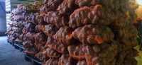 Ziemniaki wielkości Sadzeniaka Bellarosa Denar Carrera Marabel