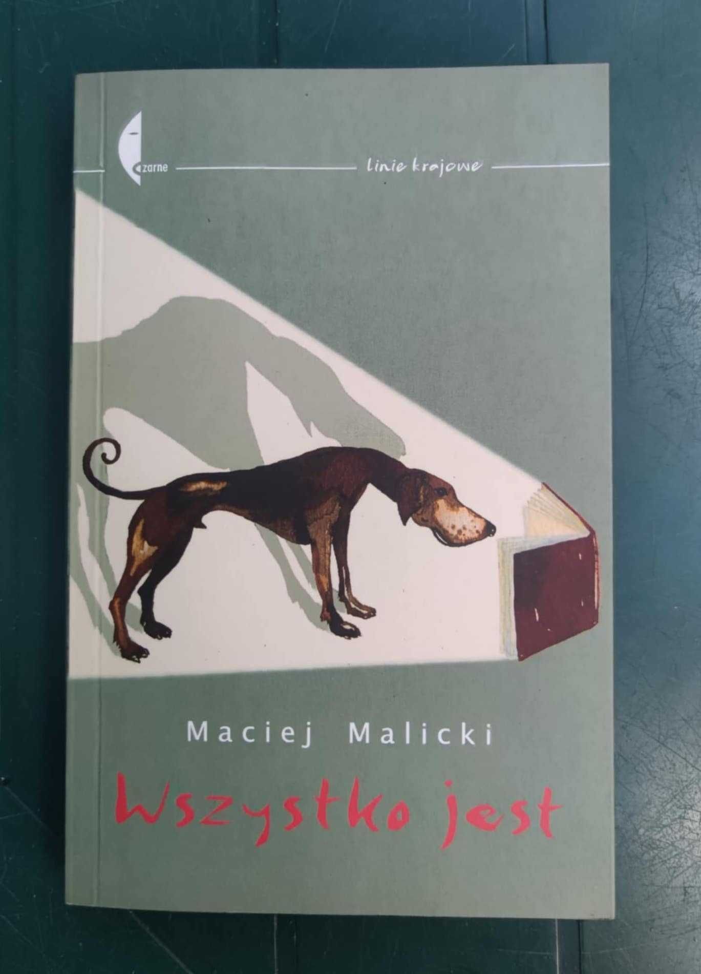 "Wszystko jest" - Maciej Malicki