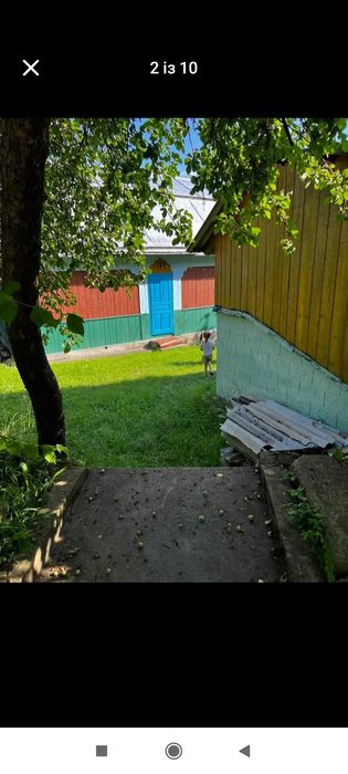 Будинок в Карпатах
