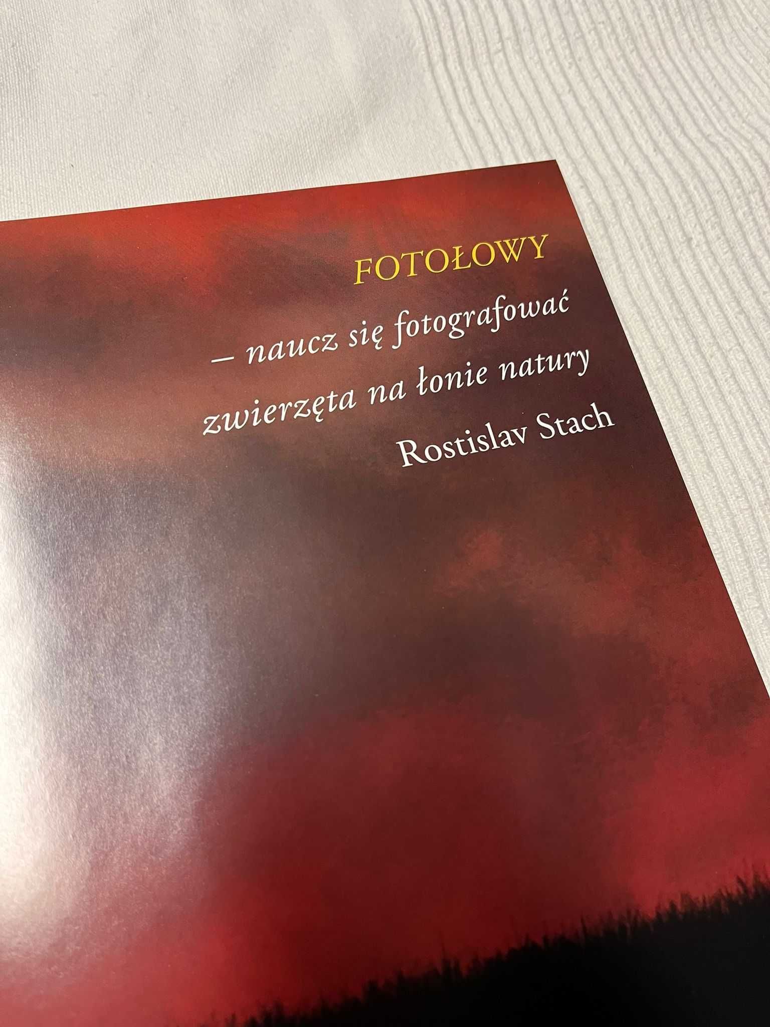 Fotołowy Naucz się fotografować zwierzęta na łonie natury