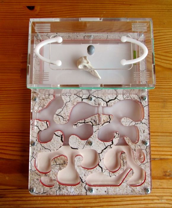 Муравьиная ферма (формикарий) «Anthouse» (пустыня) полный комплект