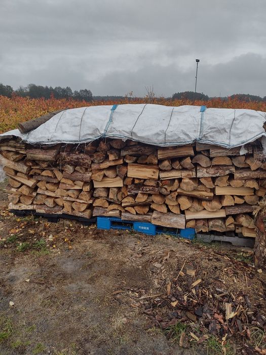 Drewno opałowe sosna