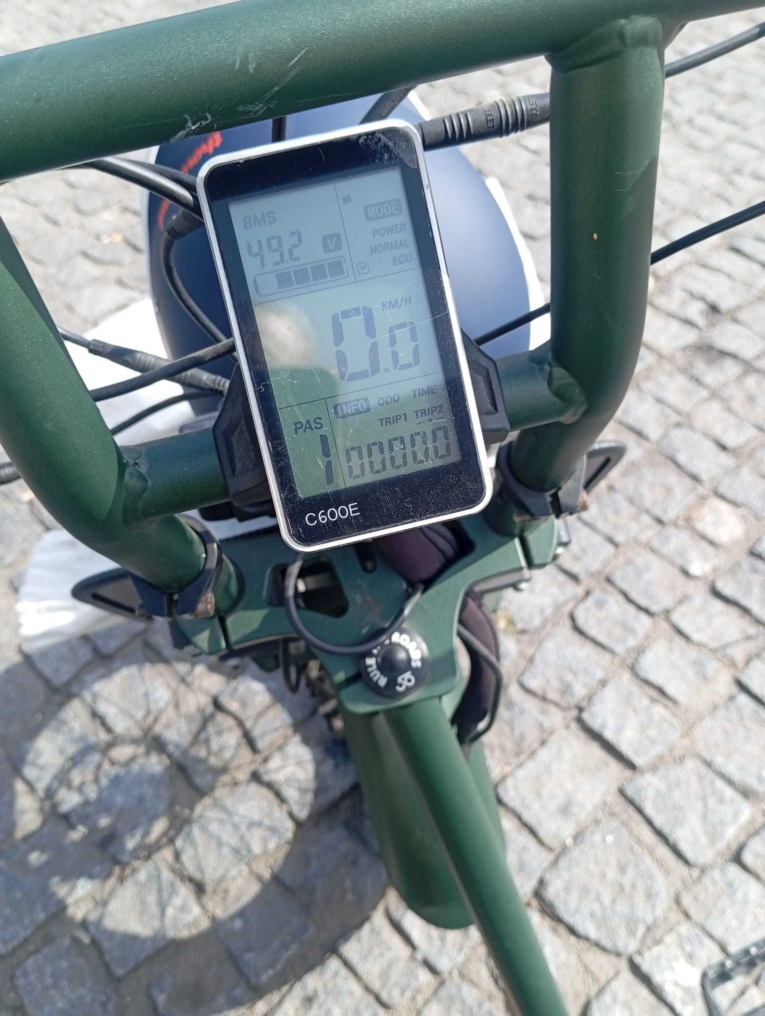 Bicicleta E-Bike 50 Rebels