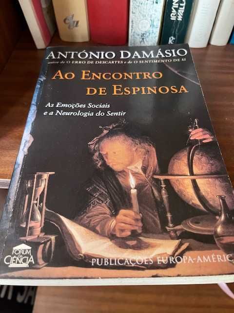 Ao encontro de espinosa