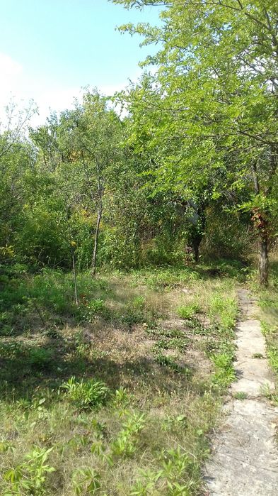 Продам дачу Сади Мичурина