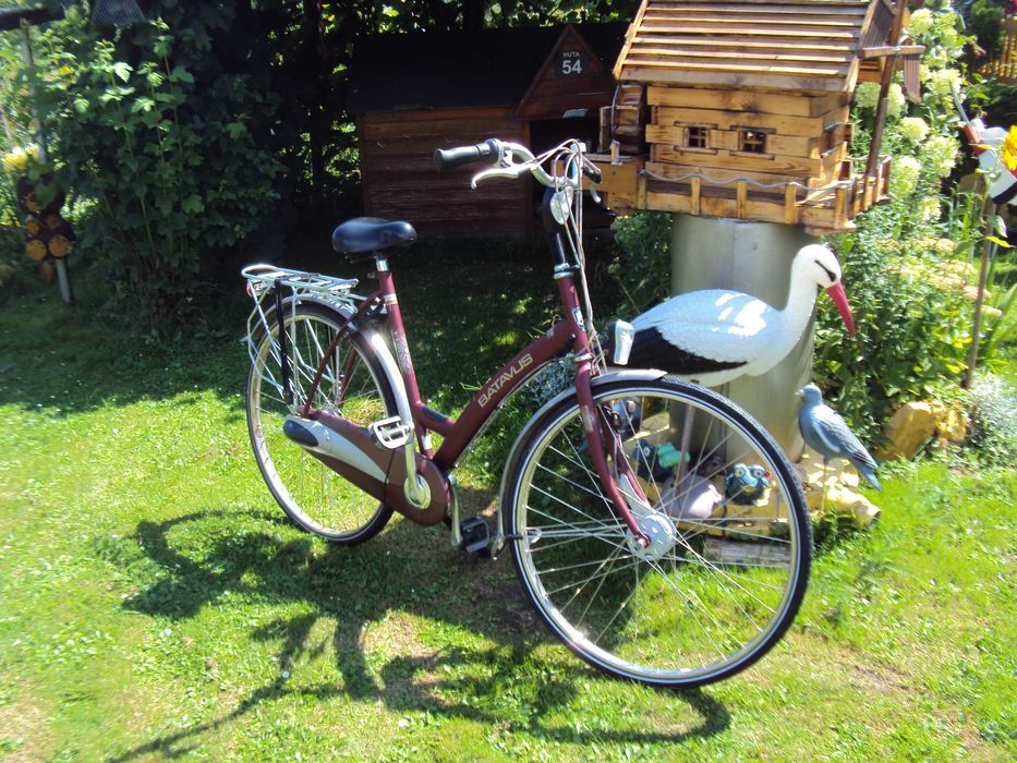 Rower holenderski Batavus