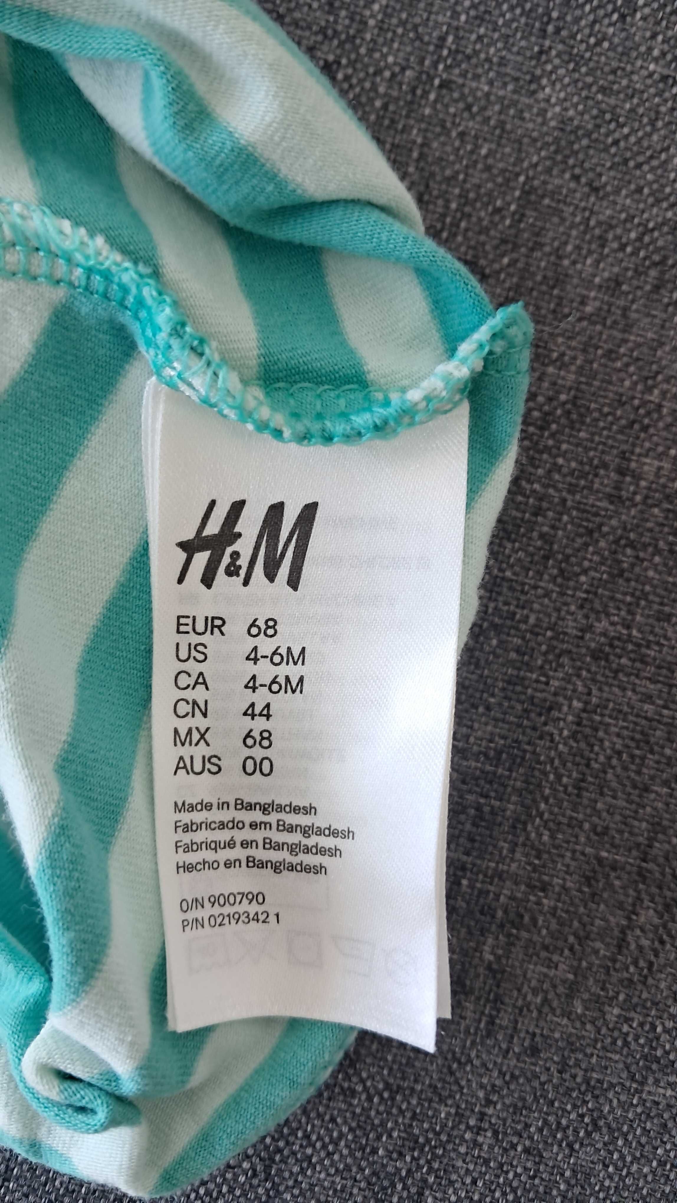 Czapka niemowlęca chłopięca paski paseczki dinozaur H&M