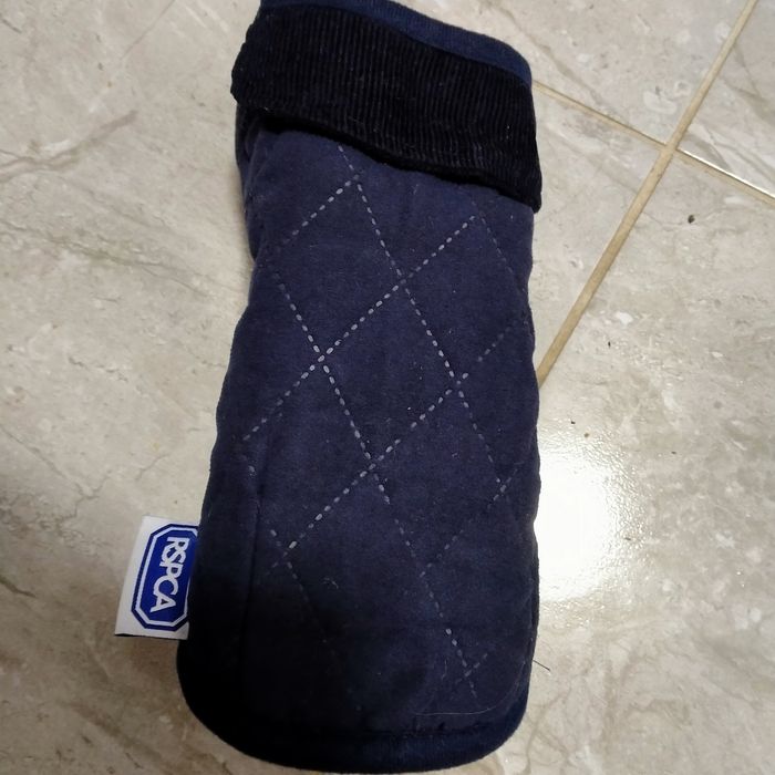 Пальто для собакена