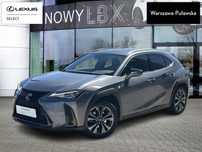 Lexus UX UX 250h GPF F Sport Edition 2WD FV23%