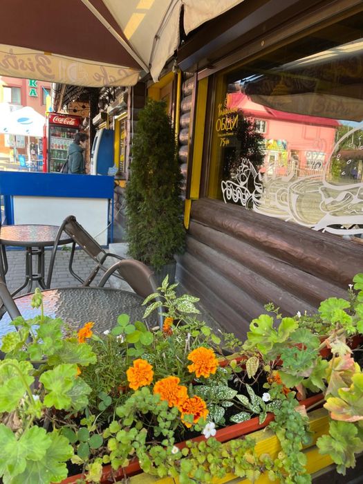 Дерев’яний павільйон 40 м² (збірно-розбірний)