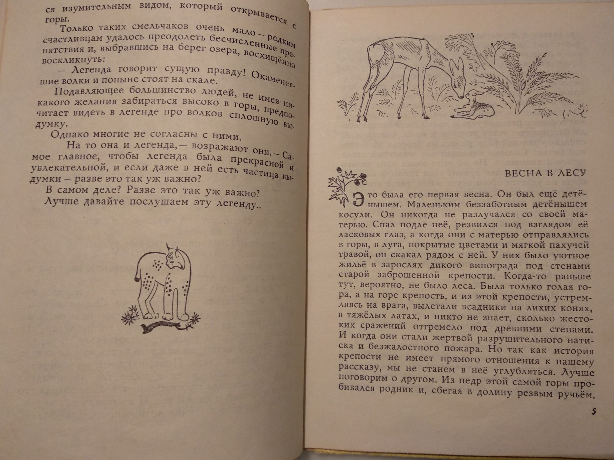 А. Хромаджич "Окаменевшие волки" детская книга