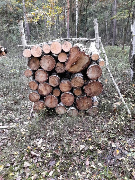 Drewno opałowe ćwiartki