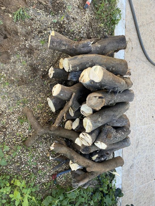 Dou madeira para lenha