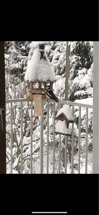 Sylwester !!! Bieszczady, Solina