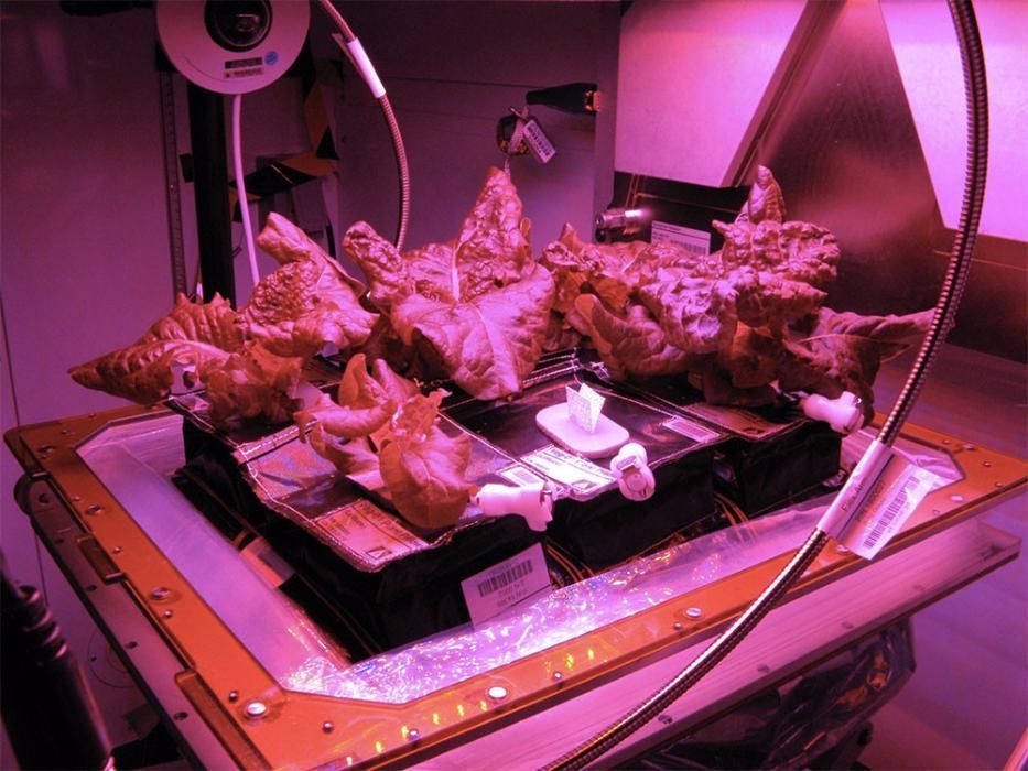 Светодиодная лампа Nano space full spectrum 45 Ват ( для растений)