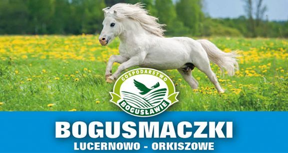 Bogusmaczki, smakołyki dla koni, przysmaki 3kg Gospodarstwo Bogusławie