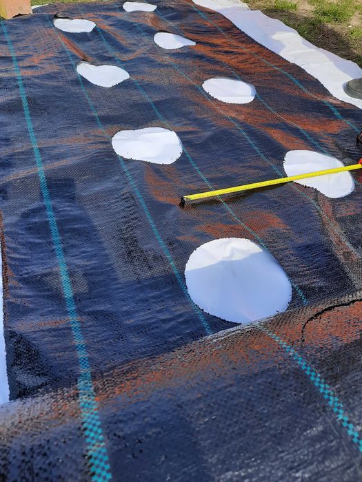 50m x 110cm Agrotkanina na chwasty OTWORAMI pod TRUSKAWKI ogórki itp