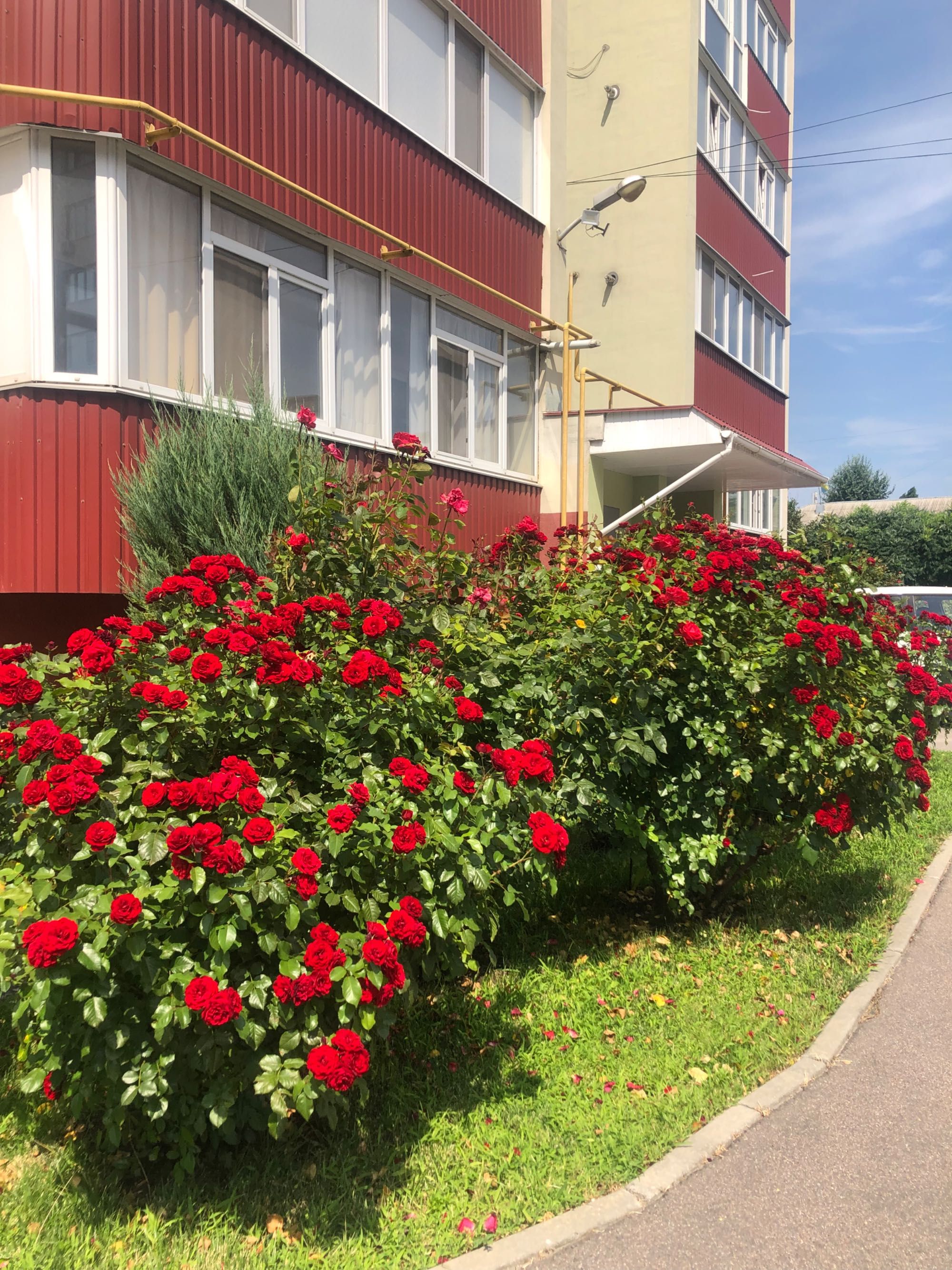НОВІ квартири подобово, Центр, Кременчук
