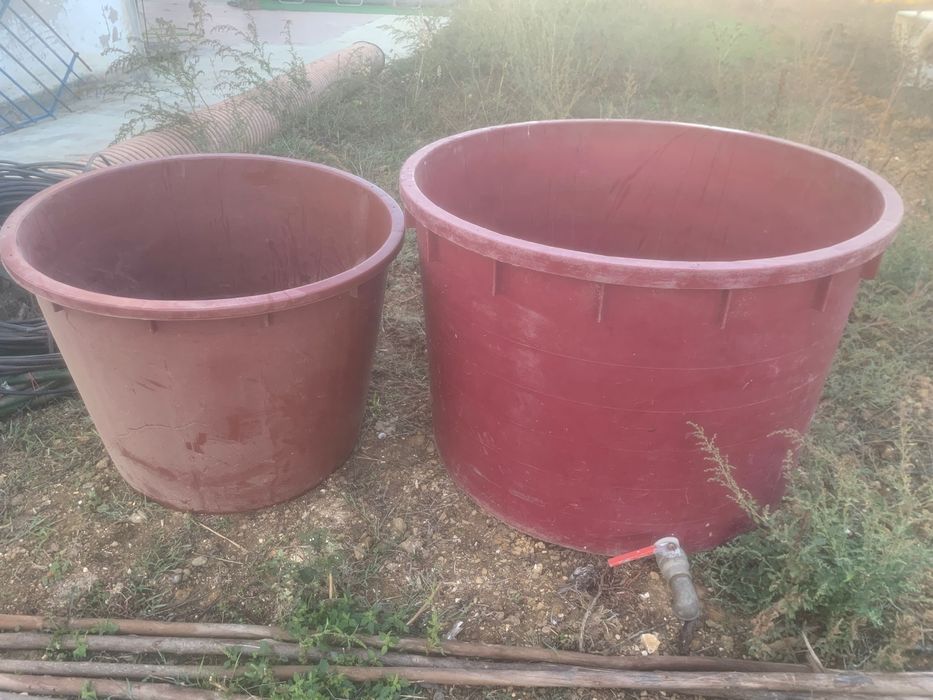 Dornas plástico e canecos