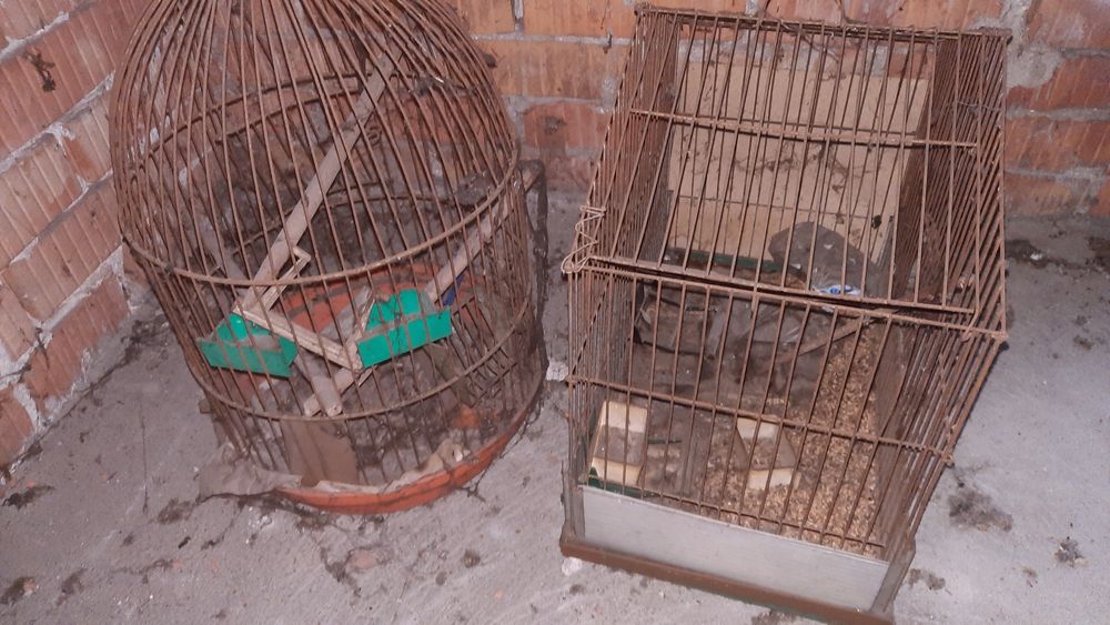 Klatka dla papug i ptaszków