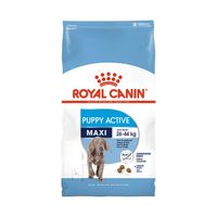 Royal Canin Maxi Puppy Active 15kg + 5kg - PORTES GRÁTIS
