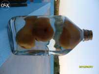 Garrafa com pêras