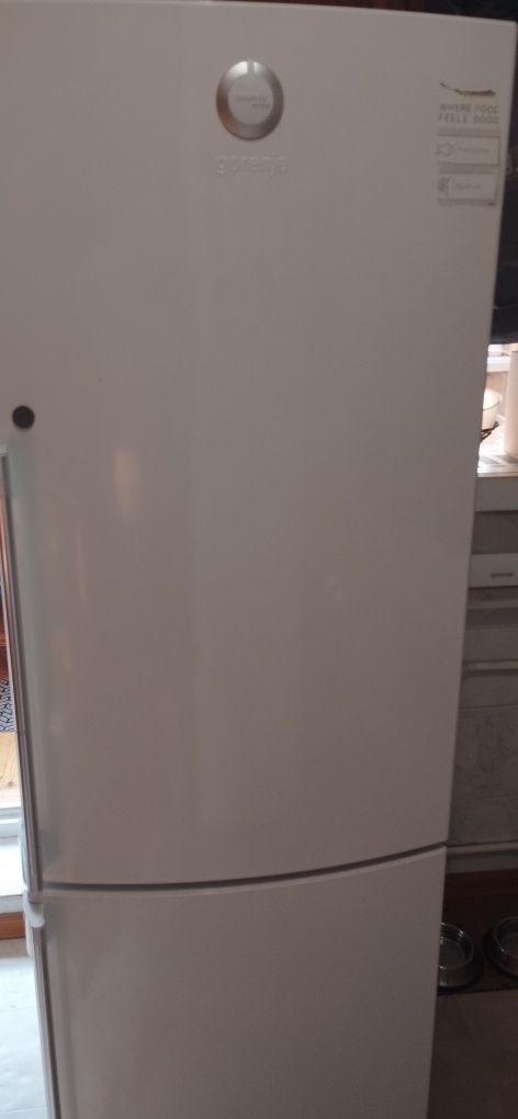 Холодильник Gorenje