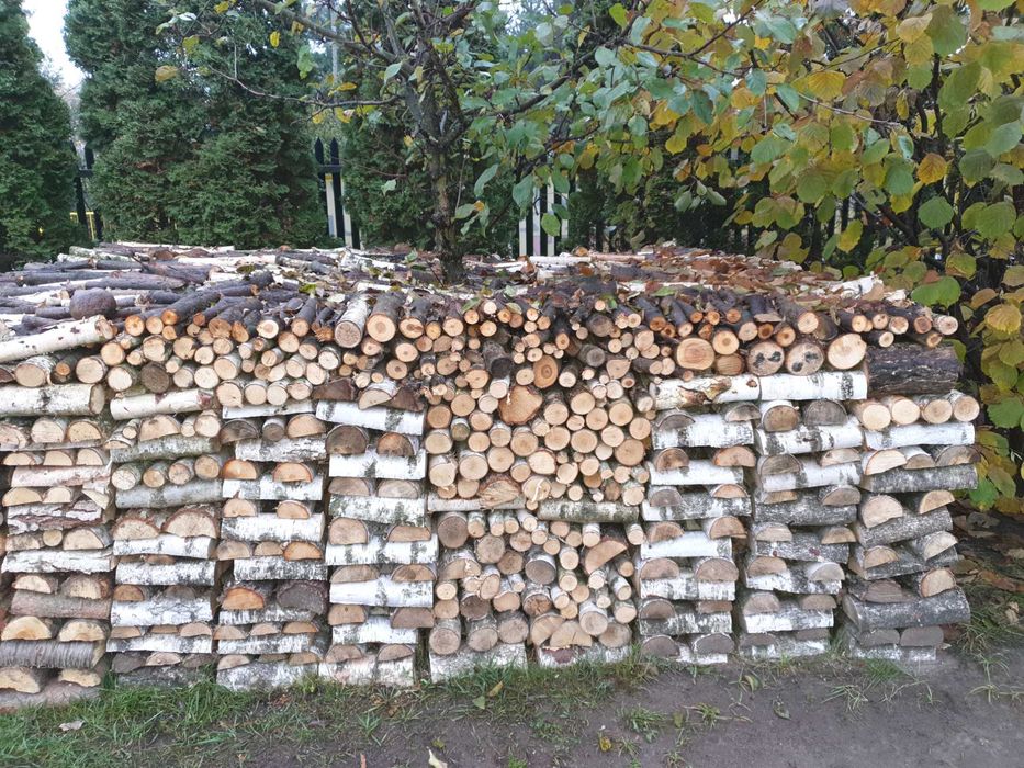 Drewno kominkowe/opałowe