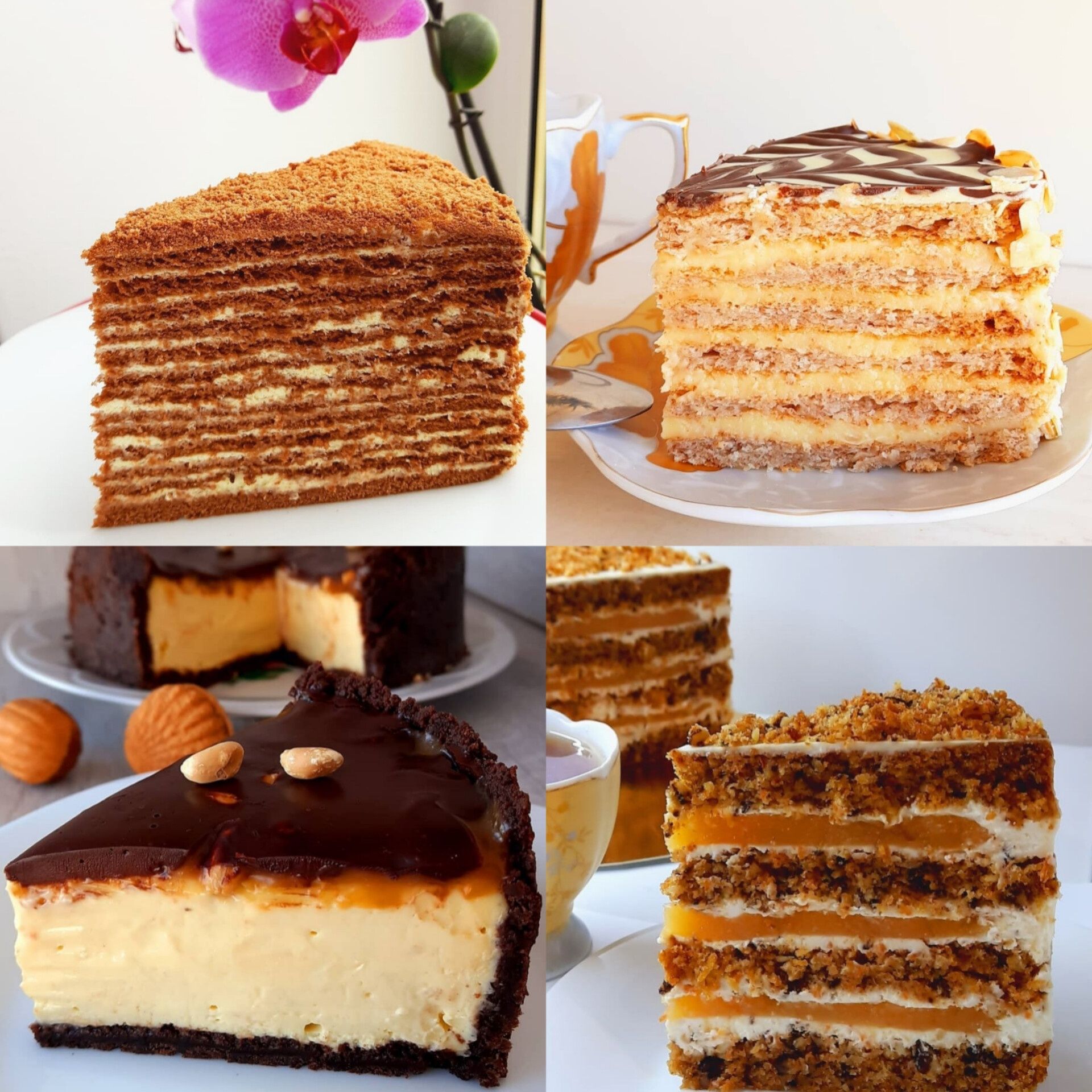 Рецепти тортів, чізкейків та різних десертів Величезний вибір всього!