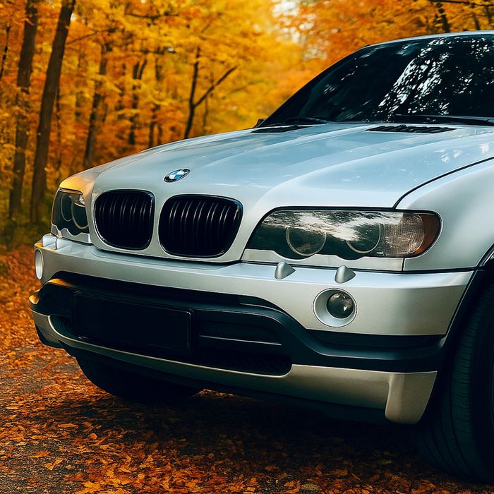 Накладка переднього бампера BMW X5 E53 1999-2003